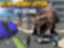 Dino Simulator Byangreb - Det Sjove Actionspil