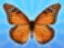 Merge Butterfly 2048! - Spil gratis online